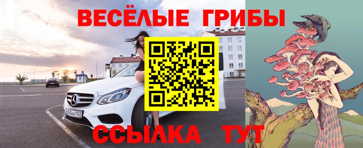 Псилоцибиновые грибы ЛСД  Вход с VPN  Магадан 